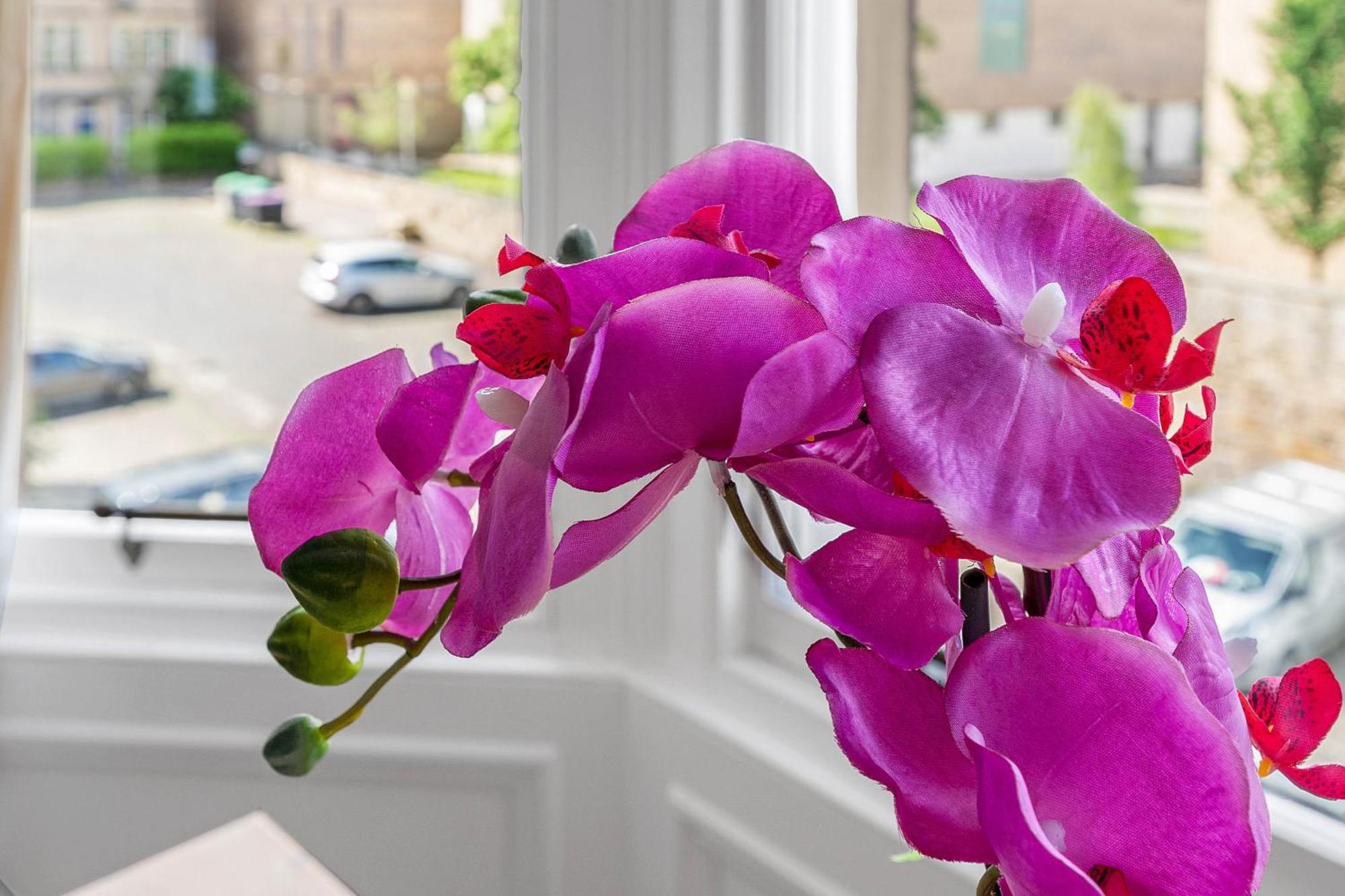 Marchmont Traditional Apartments Edinburgh Bagian luar foto